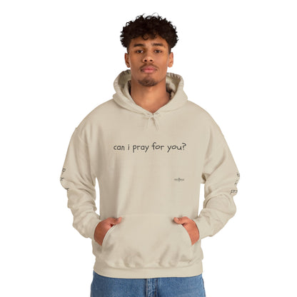 Can I Pray for You Hooded Sweatshirt - Cozy Unisex Hoodie