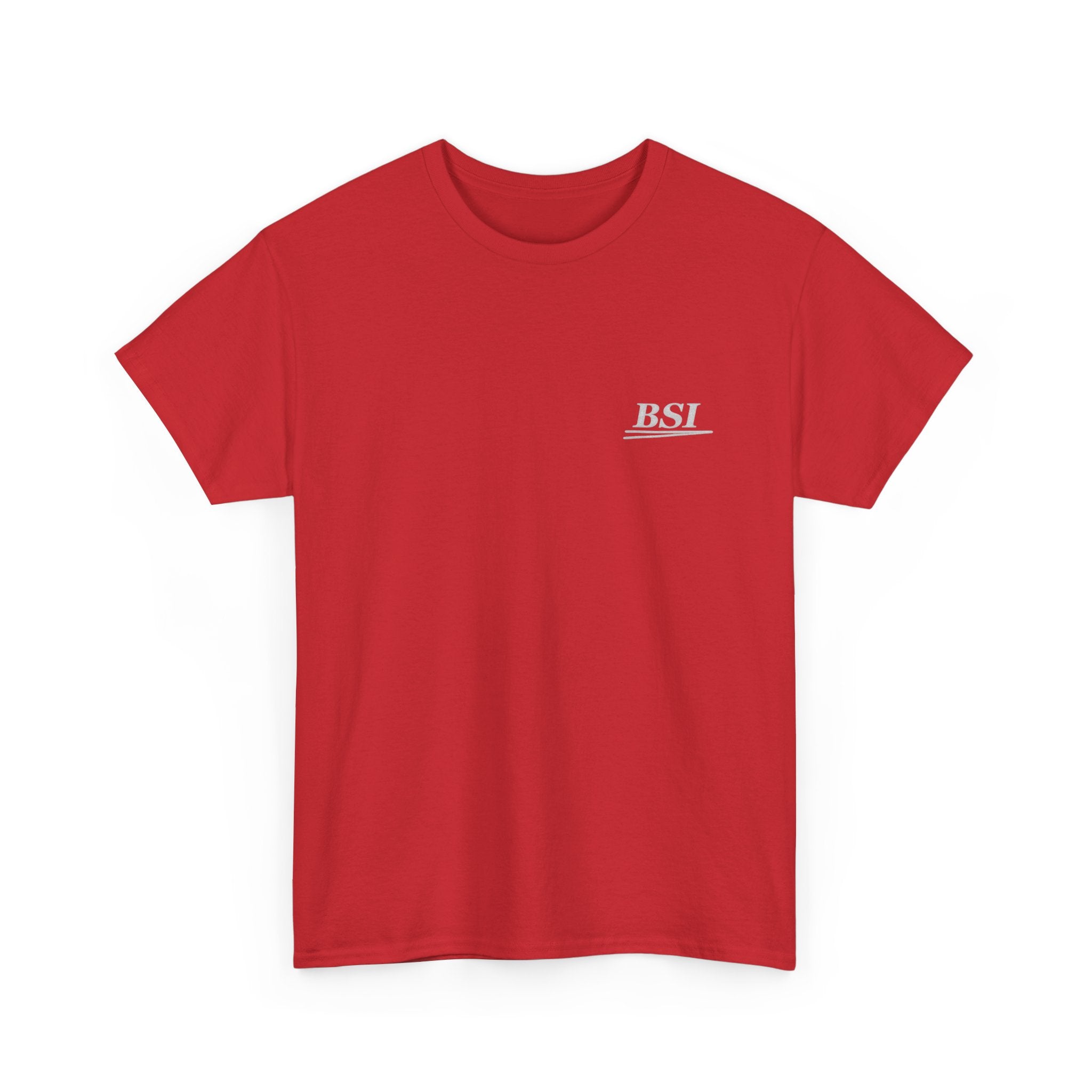 'Paint. Steel. Skill.' BSI