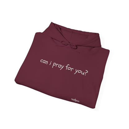 Can I Pray for You Hooded Sweatshirt - Cozy Unisex Hoodie
