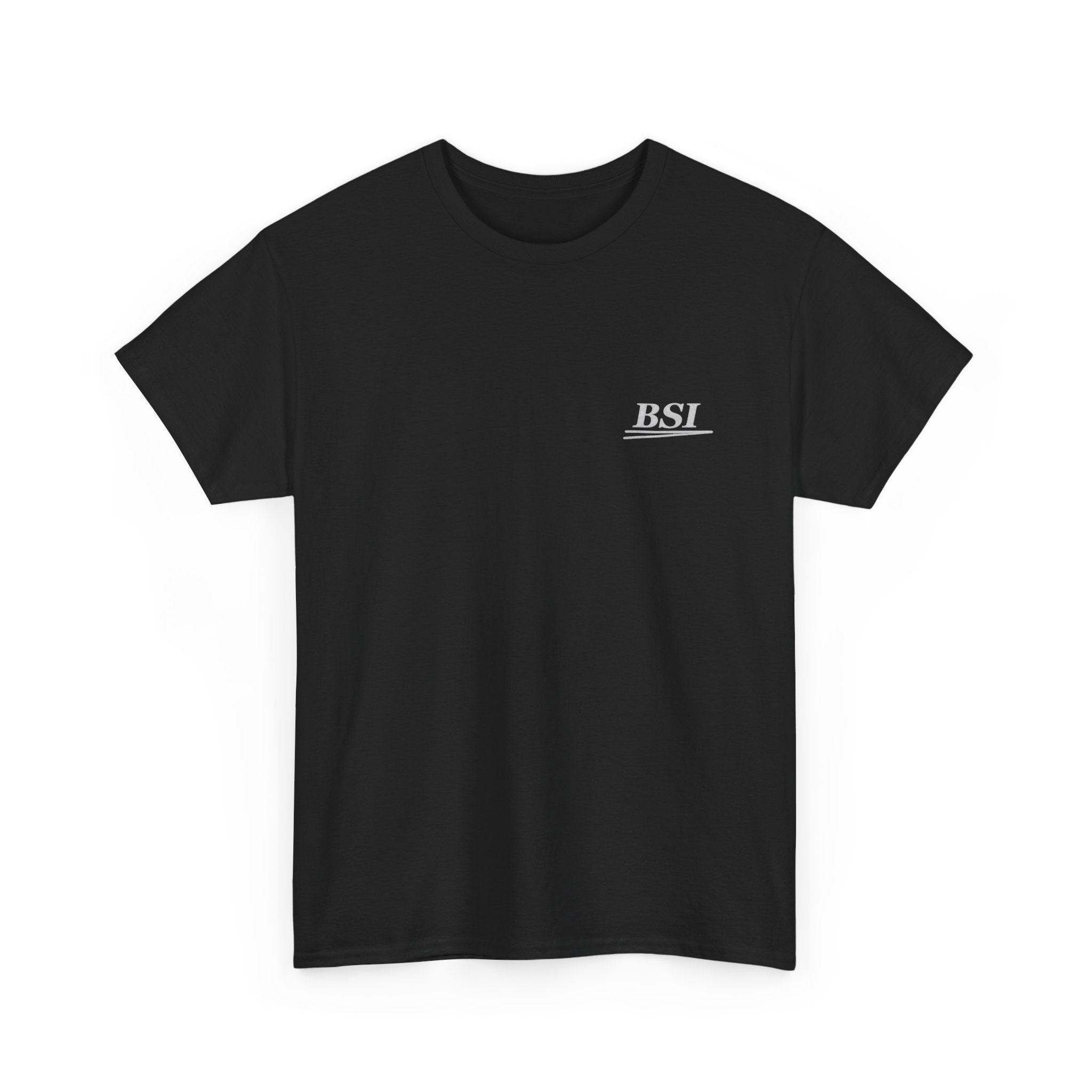 'Paint. Steel. Skill.' BSI