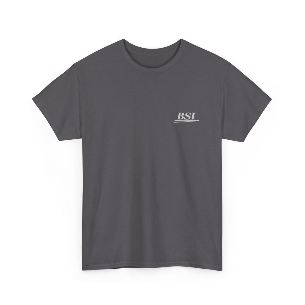'Paint. Steel. Skill.' BSI