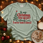 Never Took it Down Comfort Colors Shirt