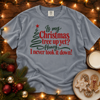 Never Took it Down Comfort Colors Shirt
