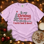 Never Took it Down Comfort Colors Shirt
