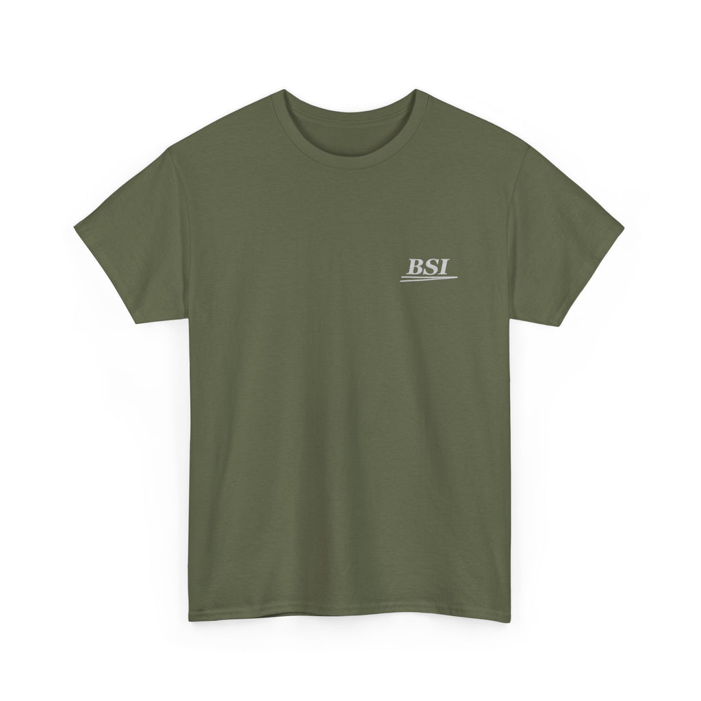 'Paint. Steel. Skill.' BSI