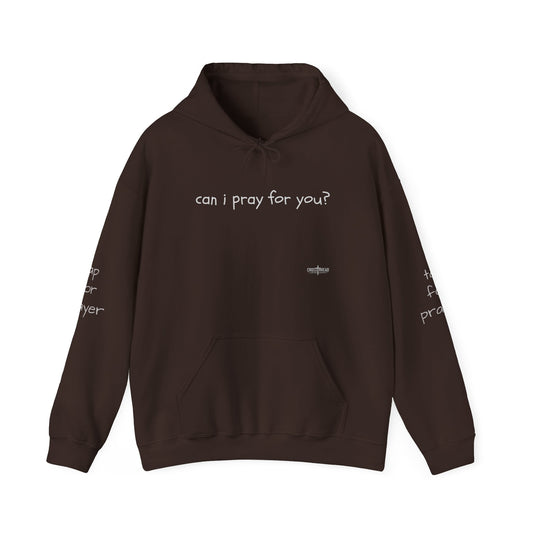 Can I Pray for You Hooded Sweatshirt - Cozy Unisex Hoodie