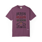 Jesus Is the Reason for the Season Christmas T-Shirt