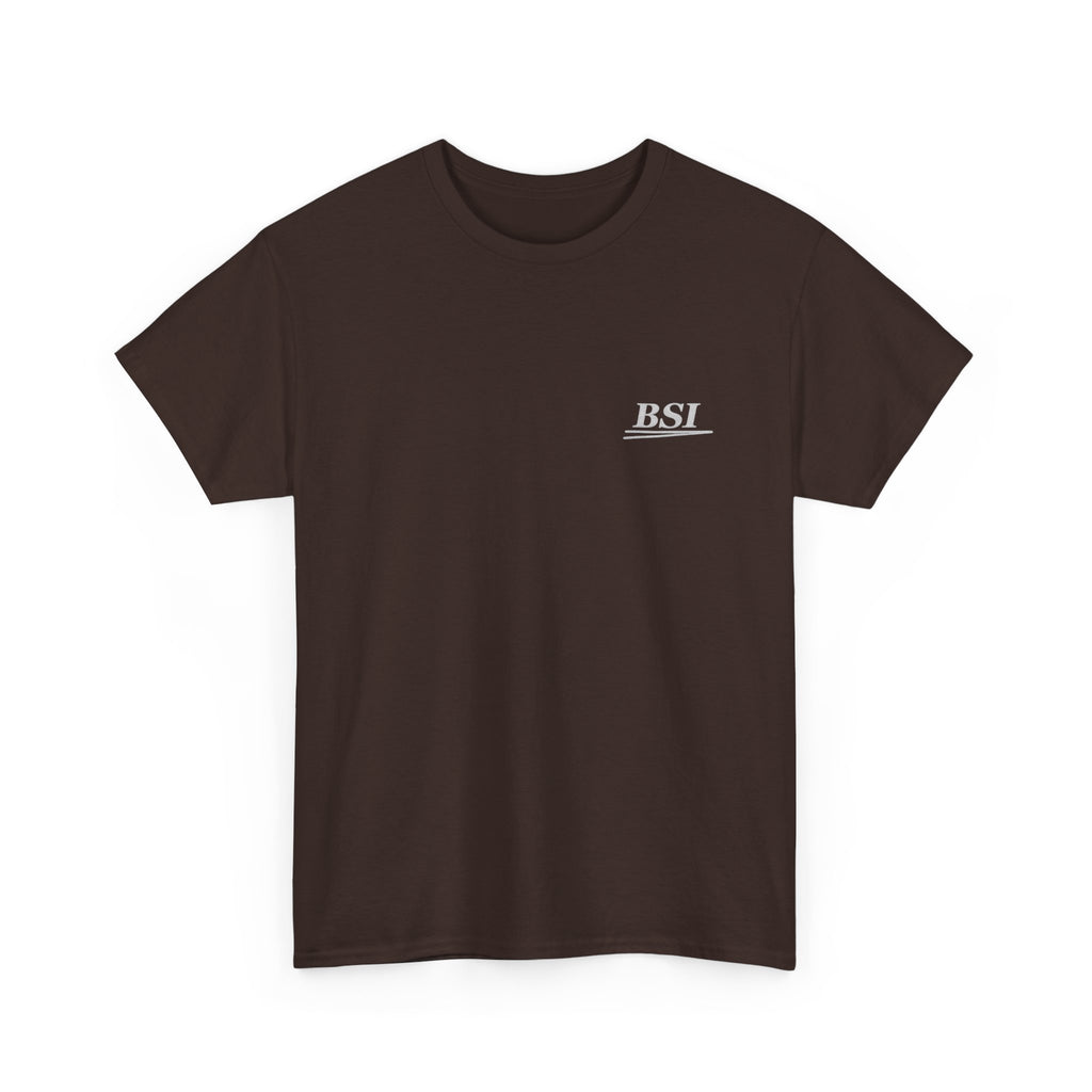 'Paint. Steel. Skill.' BSI